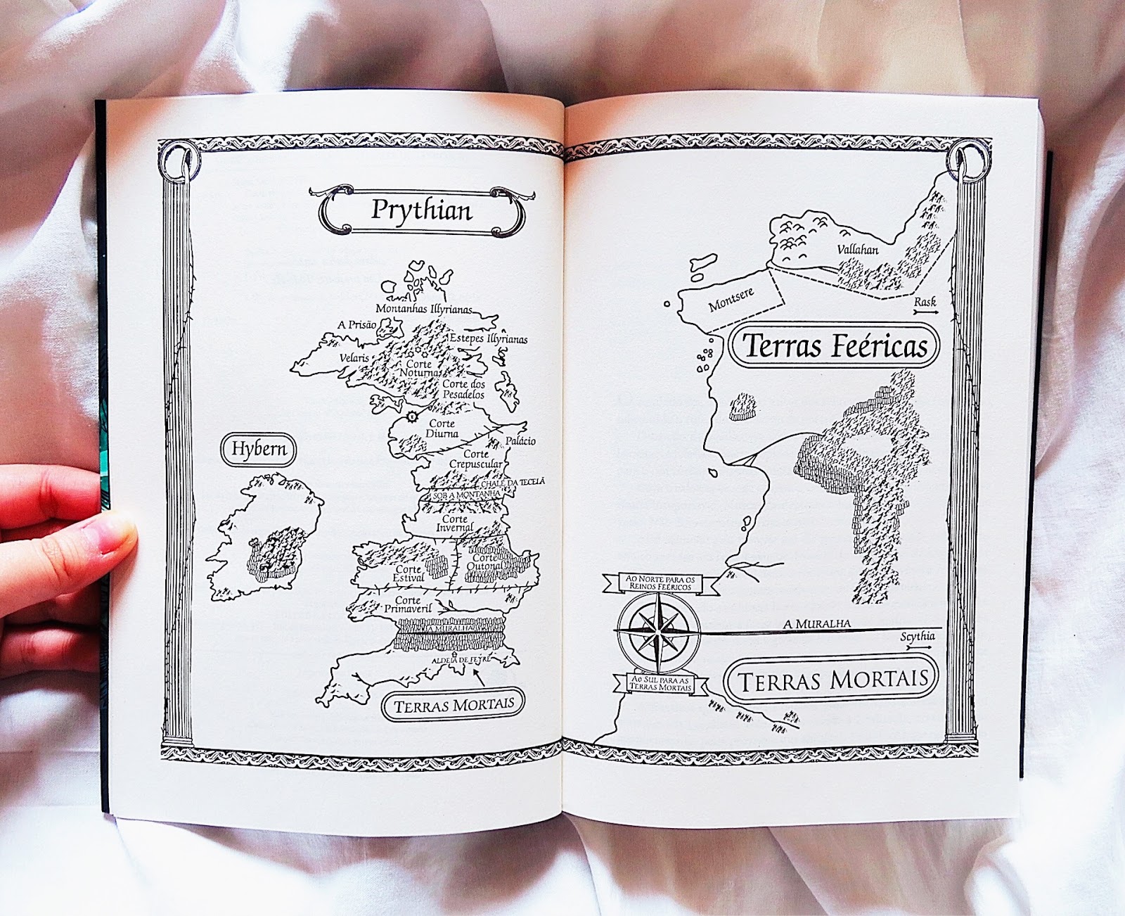 A foto mostra o mapa que aparece no começo dos livros, onde mostra o mundo dividido entre terras mortais e terras feéricas. Na segunda parte, ainda é mostrado a terra das fadas dividida entre cortes. 