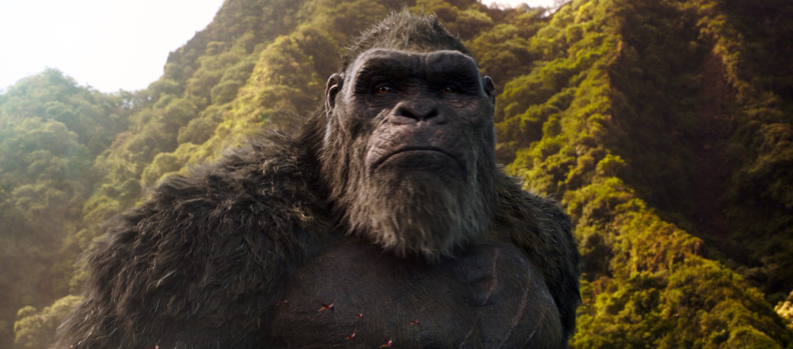 Cena do filme Godzilla vs Kong. A imagem é retangular e no centro dela há o Kong, mostrando apenas o seu busto, seu corpo está levemente virado e ele olha para frente. Atrás dele há montanhas cheias de árvores