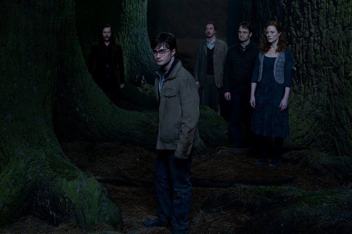 Cena do filme Harry Potter e as Relíquias da Morte: Parte 2. Na cena, vemos Harry caminhando à frente de seus entes queridos. A cena é escura, noturna e Harry é branco, tem cabelos pretos e usa óculos redondos. 
