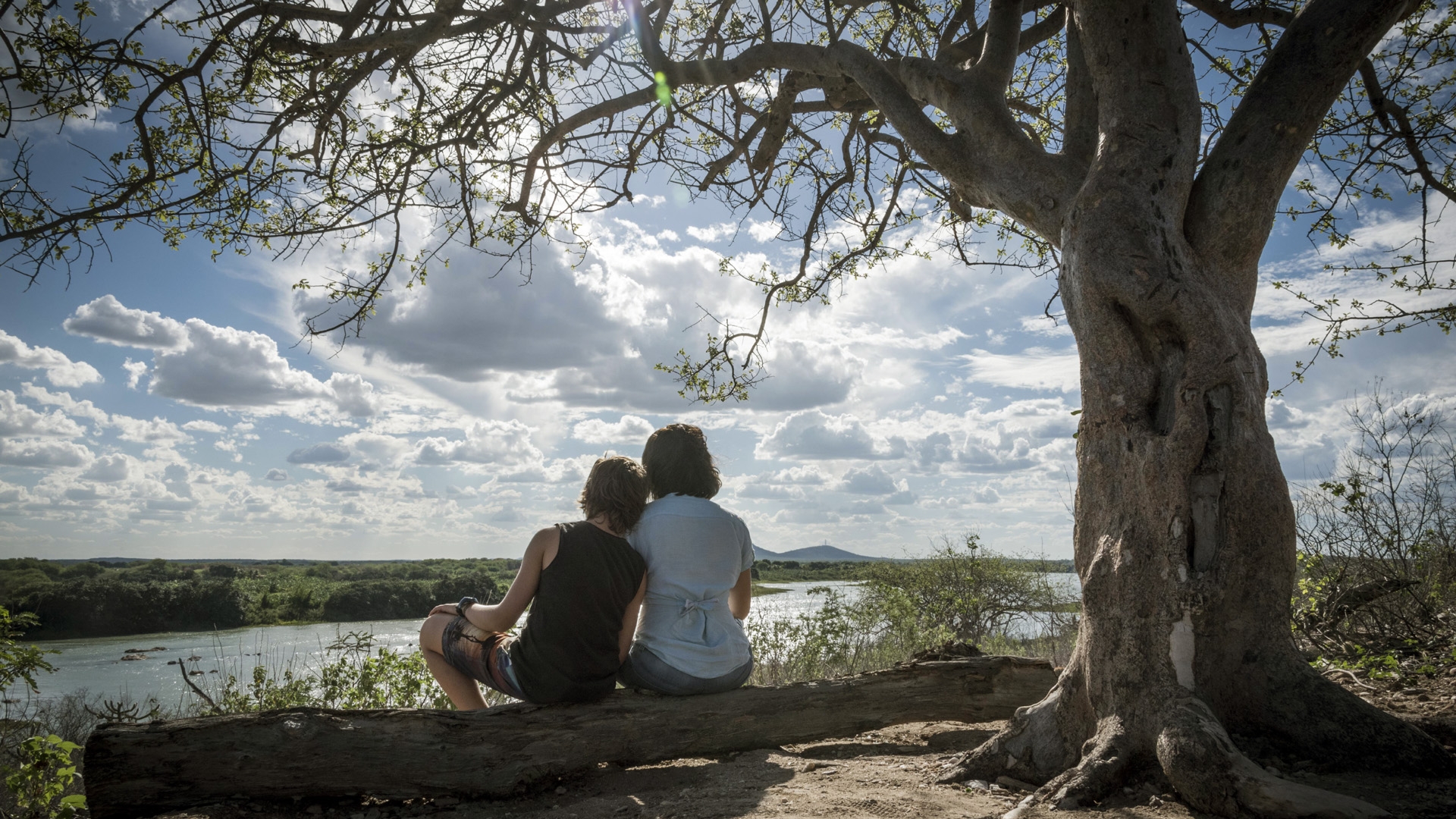 Foto de Acqua Movie. Alessandra Negrini e Antonio Haddad estão sentados no tronco de uma árvore, de costas para a foto. Eles olham na direção de um rio, o céu está bem iluminada e azul com nuvens. Ao lado direito, há uma grande árvore.