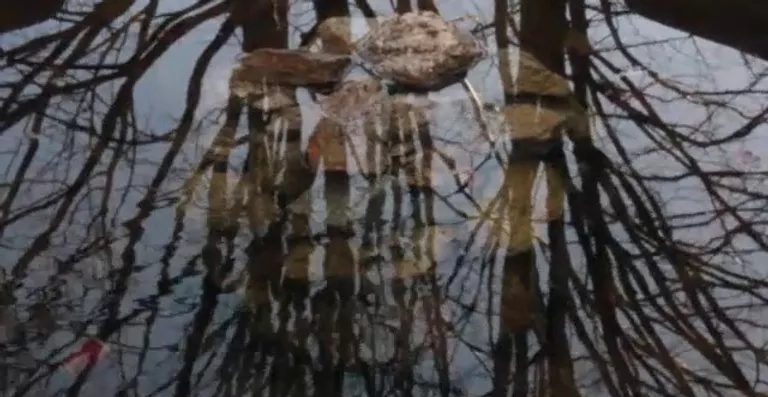 Cena do filme As Grandes Distâncias. O reflexo da superfície de uma lagoa sobrepõe a imagem refletida de múltiplos galhos de árvores às pedras ao fundo da lagoa.