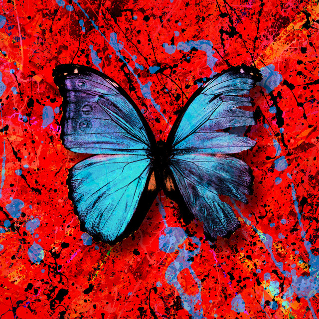 Capa do single Visiting Hours. O fundo é vermelho, com jatos de tinta preta e azul jogados aleatoriamente. Ao centro, está uma borboleta de asas abertas, azuis metalizadas. 