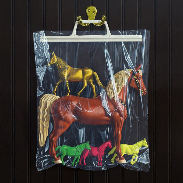 Capa do single Chaos Space Marine. A imagem mostra um pacote plástico transparente e quadrado com alguns cavalos de brinquedo coloridos dentro. O pacote está pendurado em um cabide duplo, preso a uma parede com textura de madeira e linhas paralelas verticais.