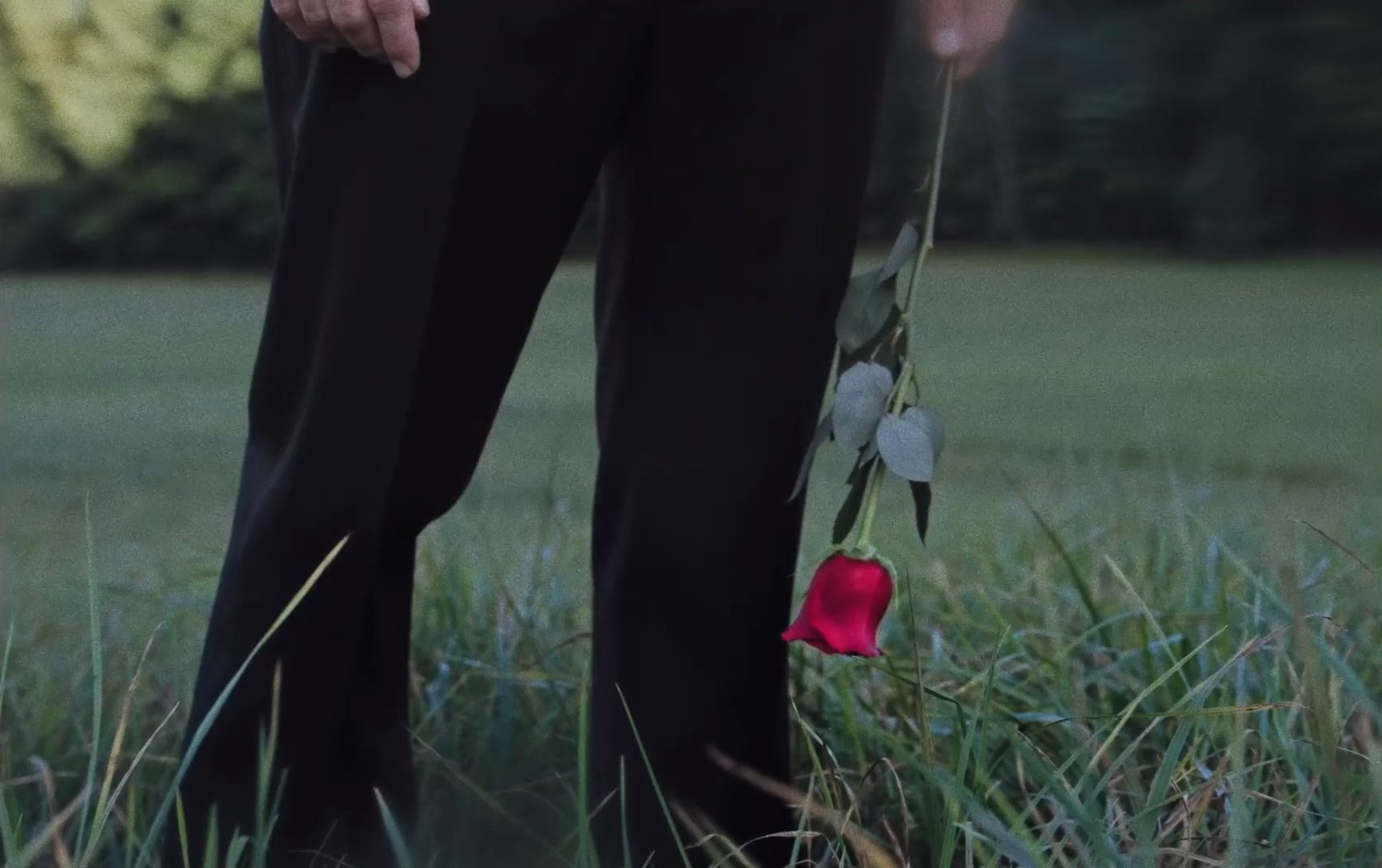 Cena do filme Higiene Social exibe as pernas de um homem parado em um campo com grama curta. Vemos calças pretas e uma rosa pendendo da mão esquerda do homem.