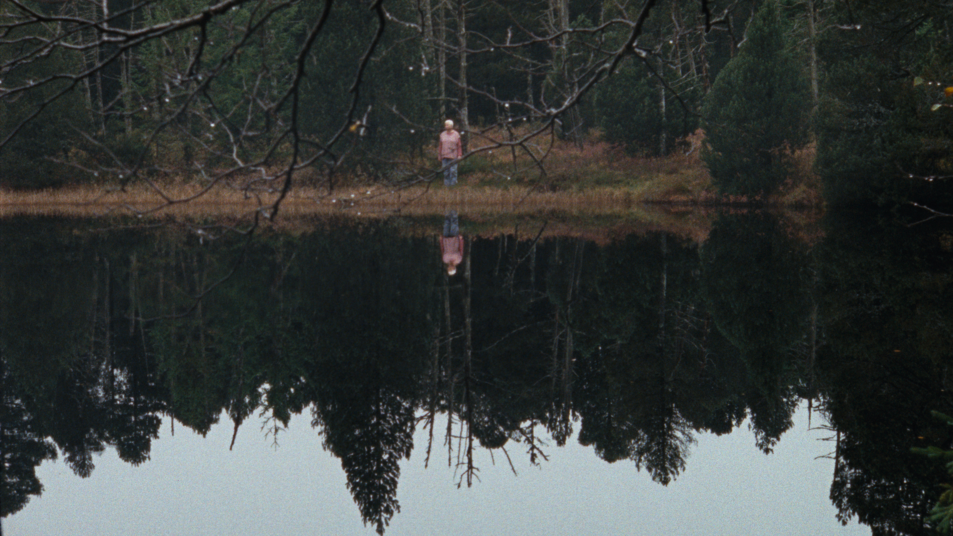 Cena do filme Madeira e Água. A imagem mostra à distância uma mulher branca de meia idade na frente de uma densa floresta de pinheiros e de frente para um lago de água cristalina. Na água, vemos o reflexo da floresta e a mulher. 