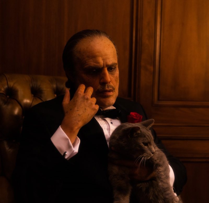 Foto de The Weeknd caracterizado como o personagem Don Corleone, do clássico cinematográfico O Poderoso Chefão. Branco, calvo e envelhecido, o artista está trajado de terno e gravata pretos que encobrem uma camiseta branca de botões. No bolso do seu paletó há uma rosa vermelha que contrasta com o ambiente marrom da sala e poltrona em que está sentado. Ele leva uma das mãos ao rosto e com a outra ele segura um gato cinza.