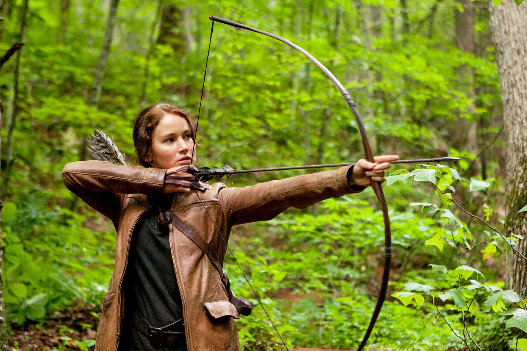 A imagem tem um fundo verde médio desfocado, que é uma floresta durante o dia, Katniss está em uma pequena clareira com arbustos rasteiros próximos. Ela se encontra em pé mais para a esquerda da imagem, com o corpo de frente para a câmera, com o rosto e o olhar sério virados para a direita, para onde ela mira uma flecha e o arco; a arma é simples e rústica, feitos em madeira. Katniss é uma mulher branca, magra, alta, de cabelo castanho levemente avermelhado. Ela veste uma, uma calça preta, coberta por uma blusa com tecido soltinho e um cinto também preto por cima, e se cobre com uma jaqueta de couro caramelo, transpassada por uma tira de couro tira de couro marrom, que segura o suporte de suas flechas nas costas. Na mão direita, a que apoia a flecha, há uma pequena proteção de tiras de couro.