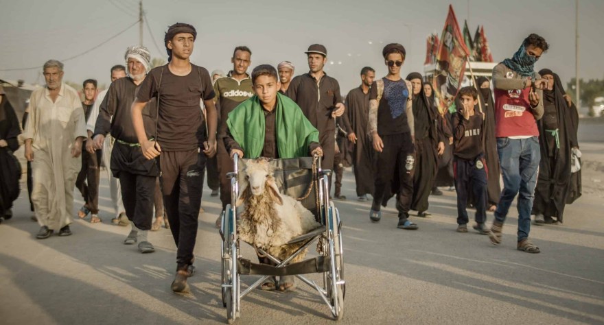 Cena do curta Ali e sua Ovelha Milagrosa. A cena mostra uma multidão caminhando e na linha de frente está um garoto com manto verde ao redor do corpo, guiando uma cadeira de rodas preta com uma ovelha sentada. 