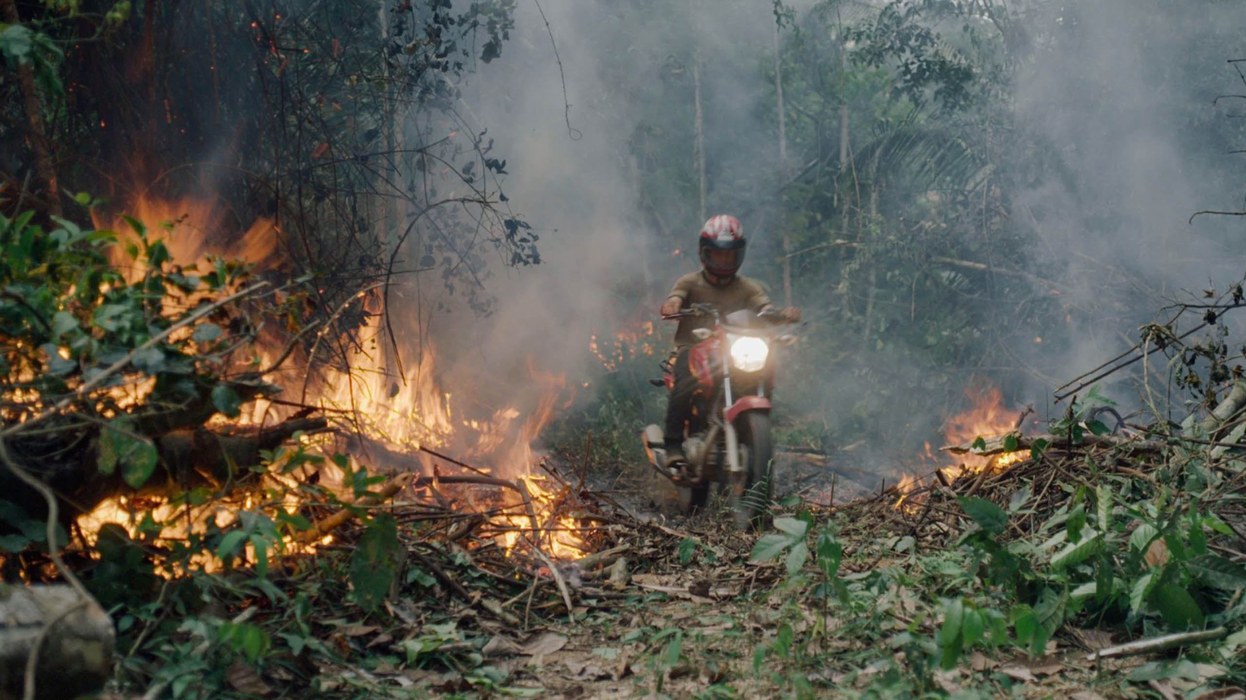 Cena do filme O Território. A imagem mostra uma pessoa dirigindo uma moto vermelha ao centro. Ela atravessa uma mata por uma trilha e algumas árvores ao redor estão pegando fogo.