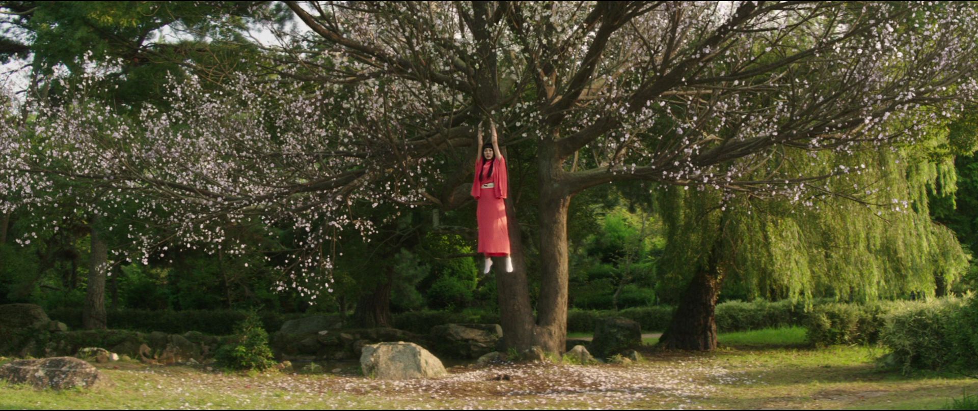 Cena do filme A Criada. Na imagem, Hideko, uma mulher asiática de cabelos escuros aparece se pendurando no galho de uma cerejeira. Ela veste laranja. Ao fundo, o cenário verde contempla o rosa das flores da árvore