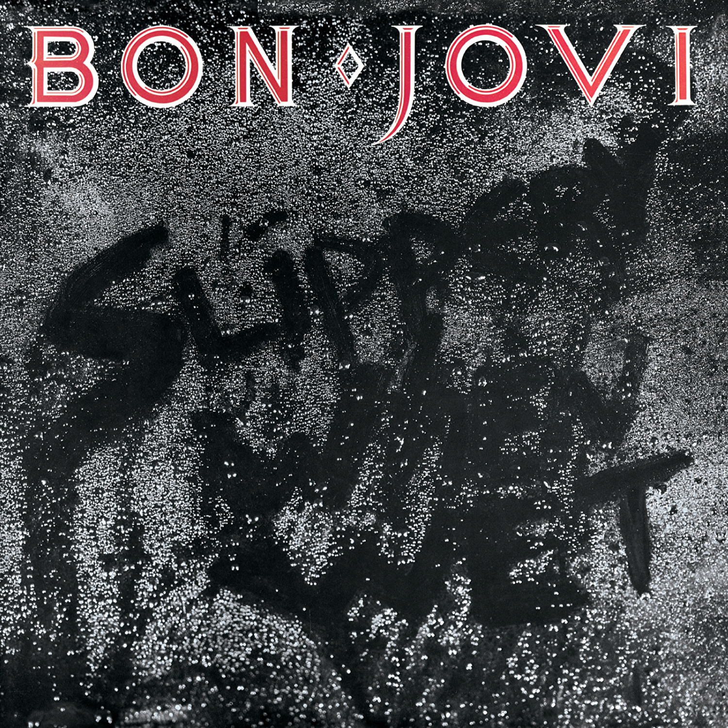 Imagem da arte de capa do disco Slippery When Wet do Bon Jovi. A arte consiste na fotografia de um saco de lixo preto molhado em que o título do álbum pode ser lido. Na parte superior, em letras vermelhas com bordas brancas está o nome da banda de rock.
