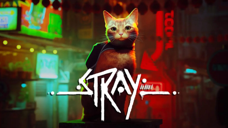 No centro da imagem, o gato ruivo de feição neutra, com o título STRAY escrito em branco. Atrás, cores vibrantes das luzes da cidade em que se encontra.