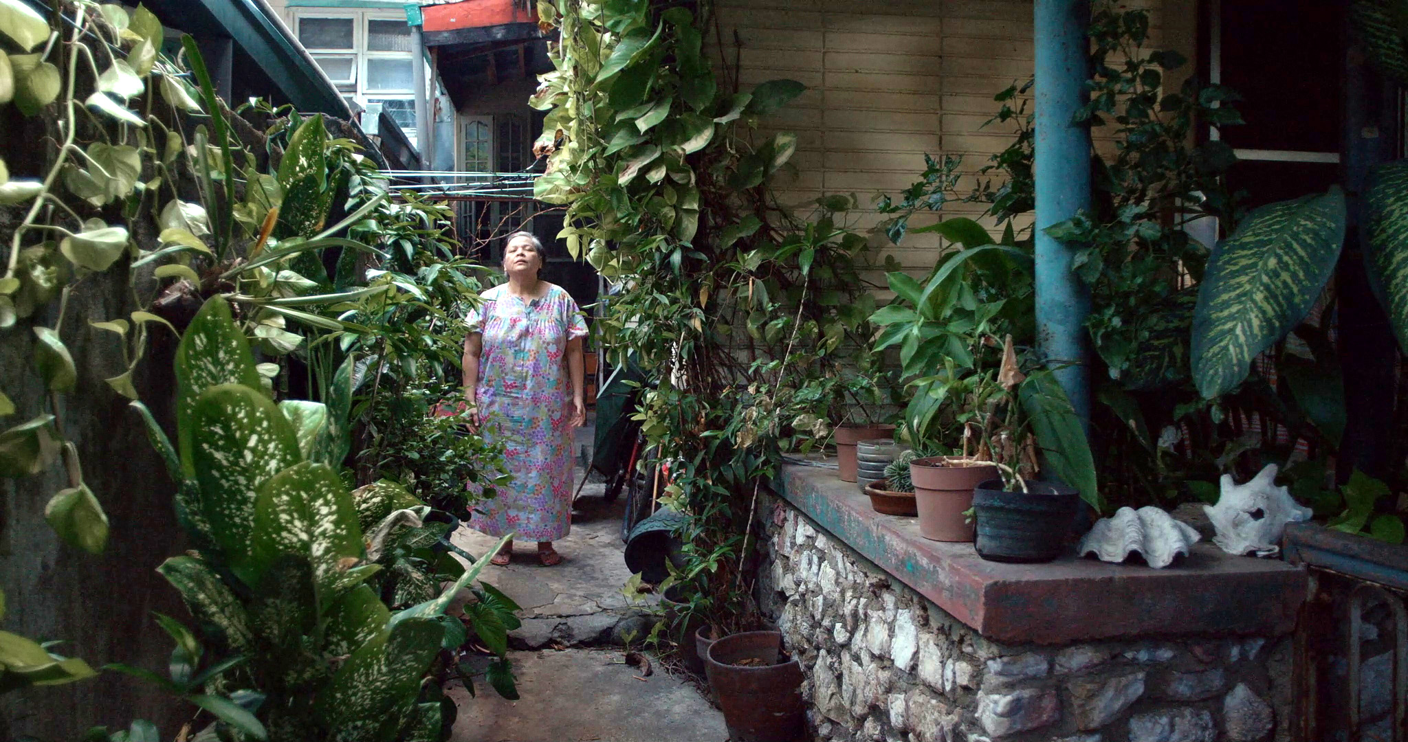 Cena do filme Leonor Jamais Morrerá exibe uma idosa filipina parada em meio ao jardim de sua casa. Ela olha para cima, com os olhos fechados e a luz do sol batendo em seu rosto. Ela usa um vestido colorido. À esquerda, vemos uma cerca-viva repleta de plantas e à direita vemos mais plantas na parede da cada, com alguns vasos em cima de um balcão perto do canto inferior direito da imagem. 