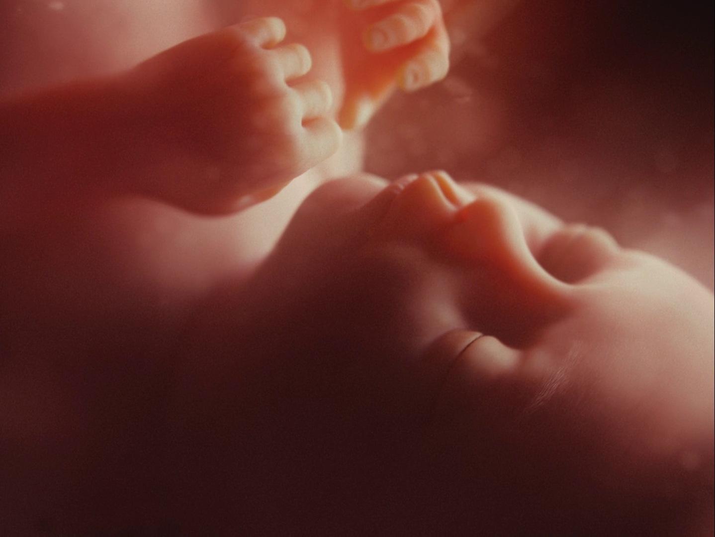 Cena do filme Blonde. Representação virtual de um feto dentro da barriga. Tronco, mãos e rosto do feto no plano.