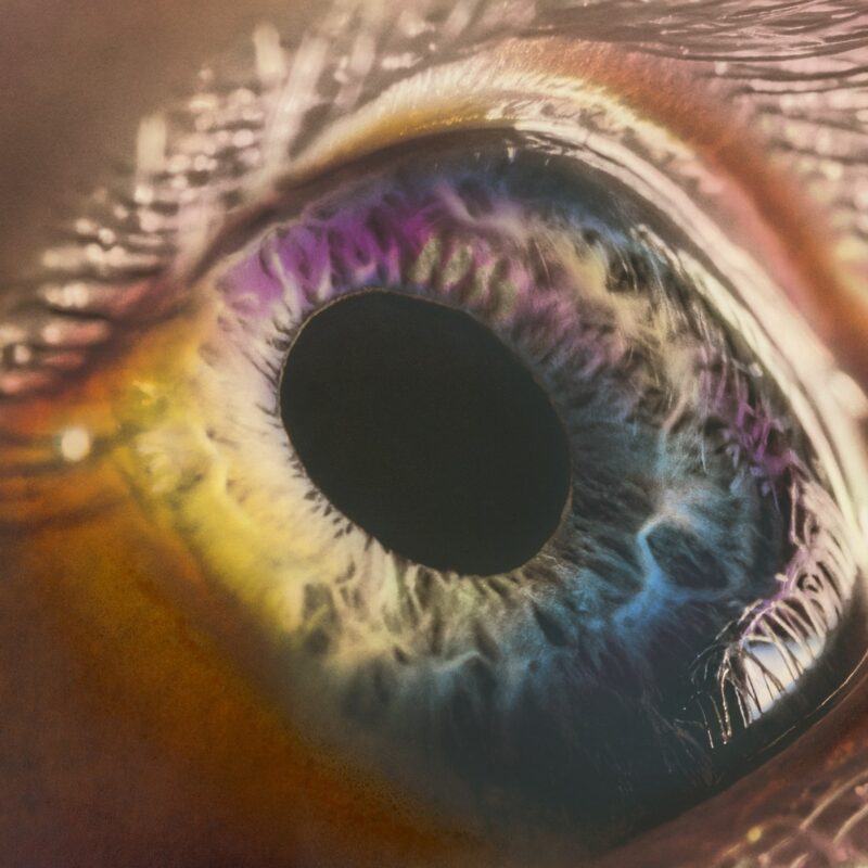Capa do álbum WE da banda Arcade Fire. Nela, temos um close em um olho. Porém, o olho em questão é composto somente da pupila e da íris, sem a parte branca.