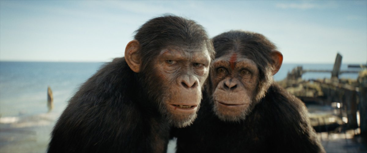 Cena do filme Planeta dos Macacos: O ReinadoNa imagem, os personagens Noa e a mãe, criados digitalmente, estão olhando para a frente, com expressão de preocupação. Noa é um chimpanzé de pelos escuros e face de cor clara. Ele é um macaco jovem. Sua mãe é mais velha e também possui pêlos escuros e a face de cor clara. Na sua testa, há um risco na vertical, chegando até o meio dos olhos, na cor vermelha. Atrás deles está o céu azul, o mar e pedaços de madeira em desfoque. 
