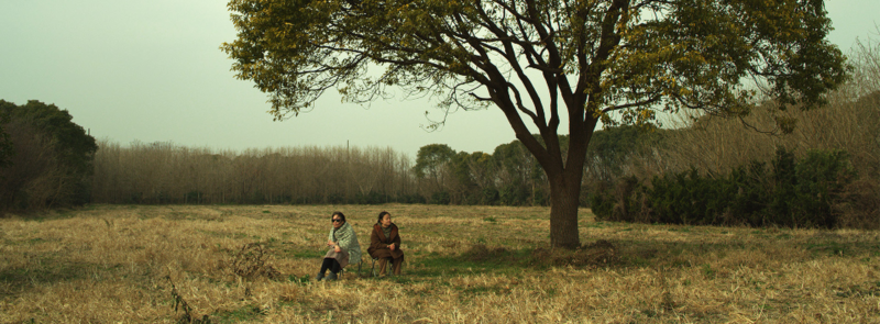 Cena do filme Uma Terra Deixada para Trás. Em uma paisagem aberta e desolada, duas mulheres estão sentadas em cadeiras sob a sombra de uma grande árvore solitária no centro de um campo seco e coberto de grama amarelada. A mulher à esquerda usa óculos escuros e um casaco cinza, enquanto a mulher à direita está envolta em um casaco marrom, ambas parecendo contemplativas e distantes. Ao fundo, há uma linha de árvores sem folhas que realçam o ambiente melancólico e a sensação de abandono. A composição transmite solidão e nostalgia, capturando a vastidão do campo e a quietude do momento.