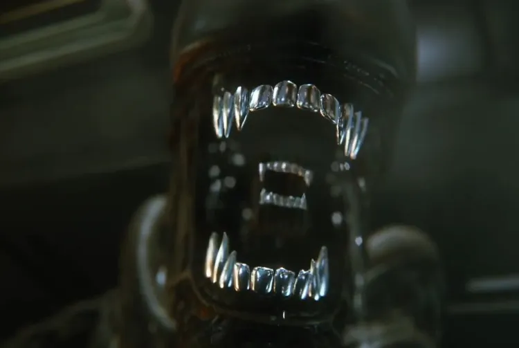 Imagem do jogo Alien: Isolation. A imagem se trata de um close-up do rosto do alienígena Xenomorfo. É uma criatura preta com dentes prateados e afiados. A cabeça longa não apresenta olhos e possui uma testa lisa. De dentro da boca completamente, há outra boca menor com dentes tão brilhantes e afiados quanto a maior que ocupa o lugar da língua da criatura.