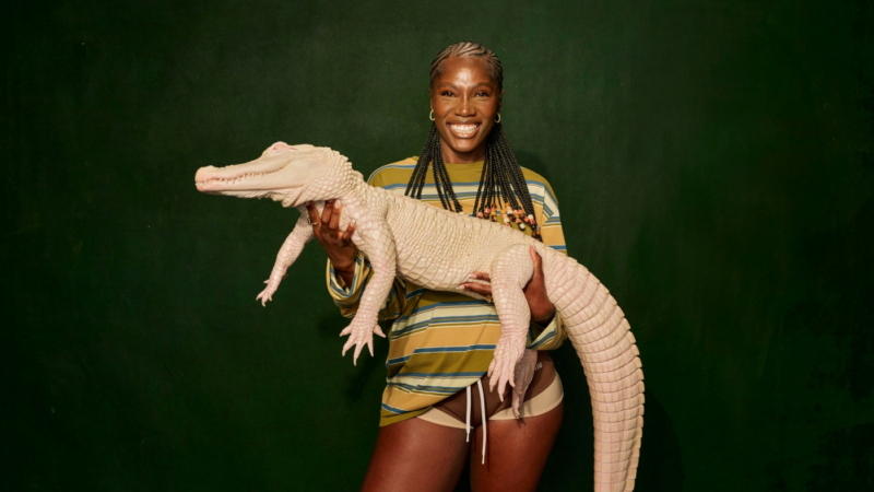 Na imagem, Doechii, uma mulher negra de 26 anos, está em pé em frente a um fundo verde escuro. Ela usa uma blusa listrada nas cores amarela, verde, azul e branco. A artista sorri enquanto segura um jacaré albino em suas mãos, olhando diretamente para a câmera.