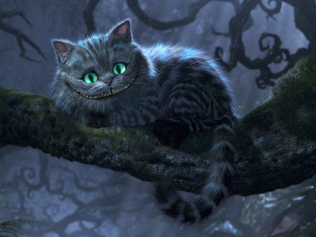 Fotografia do Gato de Cheshire, personagem-animal com pelagem fina em grande quantidade no formato listrado em cinza e azul celeste, olhos felinos azul tiffany e sorriso característico pelo formato de lua crescente e enorme quantidade de dentes que alcança todas as suas bochechas, por trás dele, um fundo cinzento repleto de galhos pretos e cinzas curvados e ramificados.