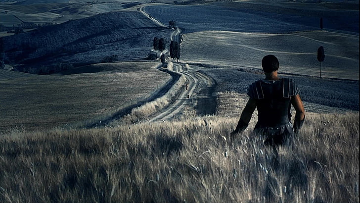 Cena do filme Gladiador.Na imagem, o personagem Maximus aparece de costas, do lado direito da imagem, caminhando pelos campos dourados em direção à sua família, que o aguarda ao fundo da imagem. Ele veste sua armadura de gladiador e está nos Campos Elíseos, representando sua passagem para o pós-vida. Máximus é um homem adulto, de pele branca e cabelos pretos.