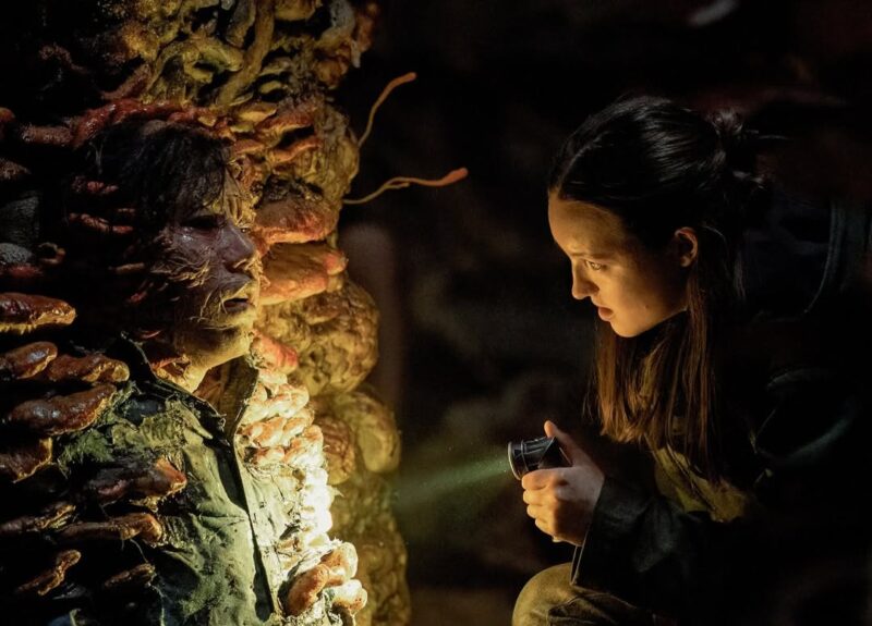 Ellie é uma mulher branca de 19 anos com os cabelos morenos parcialmente presos em um coque. A mulher, localizada na extremidade direita da foto, utiliza uma blusa de frio preta e carrega, na mão esquerda, uma fonte de luz em formato de cano, que se assemelha a uma lanterna, apontada para o lado esquerdo do quadro. Ao lado esquerdo, fungos em formatos cilíndricos “agarram” um cadáver destruído e tomado pelo mesmo ser vivo, que é iluminado pela lanterna da personagem à direita. 