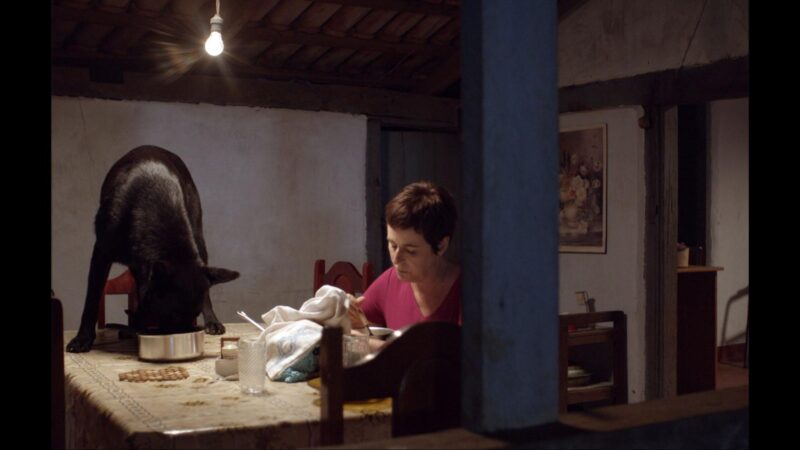 Imagem do filme Nada. Em um interior de paredes brancas e rústicas, com vigas de madeira escura aparentes no teto, uma mulher de cabelos curtos e escuros está sentada à mesa. Ela veste uma blusa magenta e parece estar comendo em uma tigela branca. Ao seu lado, à esquerda, um grande cachorro preto está com a cabeça abaixada dentro de outra tigela, também comendo. A luz ambiente é fraca, proveniente de uma lâmpada incandescente pendurada no teto. A mesa, coberta por uma toalha clara com uma estampa discreta, contém outros objetos como um pano branco, um copo e um pote. Ao fundo, parcialmente visível, há uma pintura emoldurada pendurada na parede e uma porta de madeira escura.