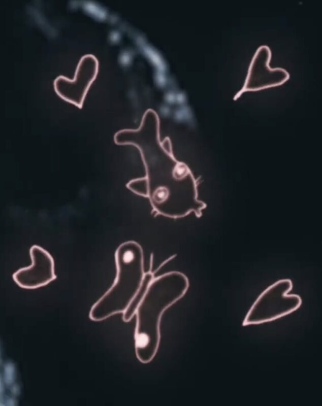 Cena do filme It’s Never Over, Jeff BuckleyA imagem é uma representação visual do desenho que Jeff Buckley fez para uma história sobre um peixe e uma borboleta. Na foto, em um fundo escuro, há uma borboleta na parte inferior e um peixe acima, ambos com traços na cor laranja. A borboleta possui duas bolinhas nas asas, uma no canto superior da asa esquerda e outra no inferior da direita. O peixe tem dois olhos, dois pares de bigodinhos como de gato, um em cada lado do rosto. Do lado do animal e do inseto, há dois corações cada, um em cada lado. Eles não são uniformes, tendo proporções diferentes. A arte lembra a de uma criança. 