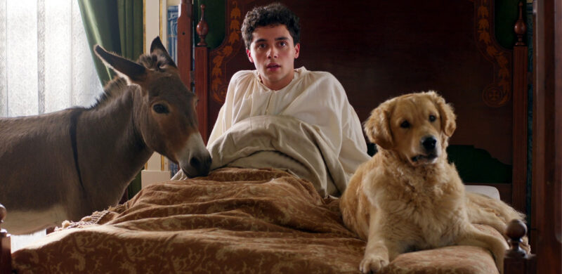 Cena de A Árvore do Conhecimento. Em um quarto de aparência clássica, um jovem de cabelos escuros cacheados senta-se abruptamente na cama com uma expressão de surpresa, vestindo uma camisa de dormir branca. A cena é inusitada, pois ele está ladeado por dois animais: à sua esquerda, um burro cinza está em pé ao lado da cama olhando para ele, e à sua direita, um cachorro da raça golden retriever descansa tranquilamente sobre o edredom marrom.