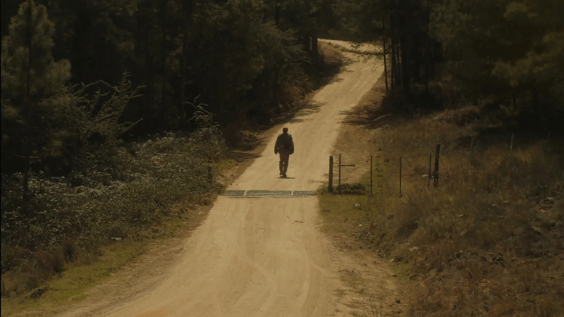 Um plano geral de César (Pablo Limarzi) no filme 'Depois, a Névoa'. Ele é visto de costas, caminhando sozinho para longe da câmera por uma longa estrada de terra que sobe uma colina. A estrada é ladeada por uma floresta densa de pinheiros e vegetação rasteira seca.