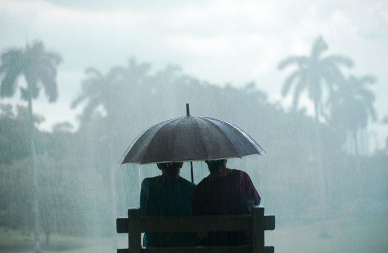 Cena do filme Querido Trópico. Duas mulheres vistas de costas estão sentadas juntas em um banco de madeira enquanto dividem um guarda-chuva grande sob uma chuva intensa. No fundo, ha uma área verde de um parque coberta por um gramado e grandes árvores.
