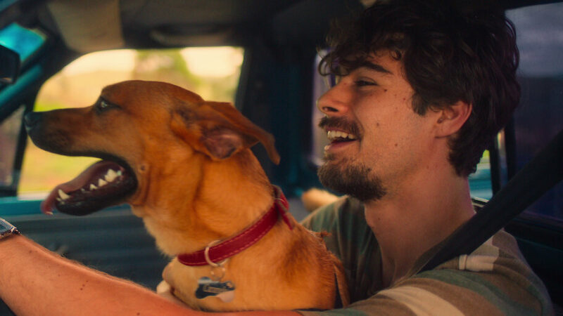Cena do filme Caramelo. A cena retrata um homem sorridente e seu cachorro curtindo uma viagem de carro em um momento de alegria e companheirismo. O homem, jovem, de cabelo castanho escuro e barba por fazer, segura o cachorro no colo enquanto sorri com expressão relaxada. O cão, de pelagem marrom-dourada e coleira vermelha, demonstra entusiasmo com a boca aberta e a língua de fora. A foto, iluminada por luz natural suave que entra pela janela, destaca o vínculo afetuoso entre os dois. Com cores quentes e fundo desfocado, a cena transmite leveza, espontaneidade e a sensação de um momento feliz compartilhado.