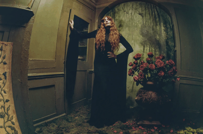 Fotografia de Florence. Na imagem, também com o efeito “olho de peixe”, Florence Welch veste um longo vestido preto e usa o cabelo solto. A artista está em pé no que parece ser um corredor ou um saguão. As paredes são esverdeadas com algumas manchas pretas. Florence encosta sua mão direita na parede e, com a esquerda, segura o quadril. Ao seu lado esquerdo, um grande vaso de rosas vermelhas, com pétalas caídas em sua base.