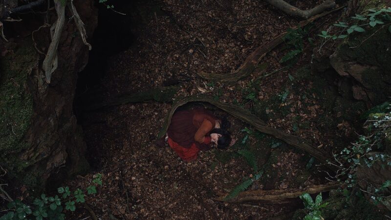 Uma paisagem está no plano superior. Uma mulher de cabelos castanhos e usando um vestido vermelho está deitada em posição fetal no chão de uma floresta. Ao redor dela, há raízes expostas, folhas secas e vegetação. A paisagem está em tons terrosos.