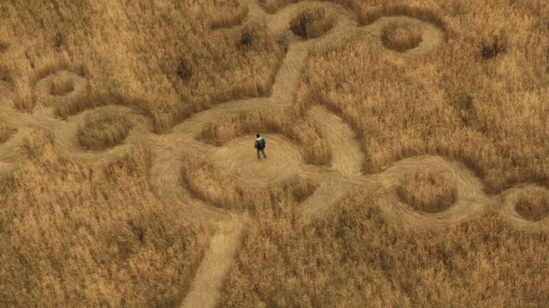 Cena do filme Dia DNa imagem, um campo de trigo é visto de cima. Nele, há agroglifos, marcações que OVNIS fazem em plantações. No centro da imagem, está o personagem Daniel vestindo uma jaqueta cinza e mochila nas costas. 