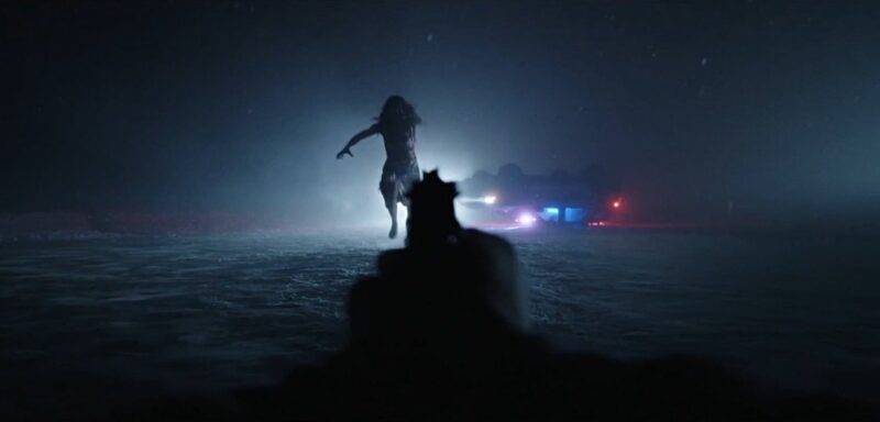 Cena do filme Resident EvilNa imagem, em primeira pessoa há uma arma apontada para uma mulher zumbificada. A cena é noturna com pouca visibilidade. A única luz vem ao fundo de uma viatura policial capotada. Há neve no chão. 